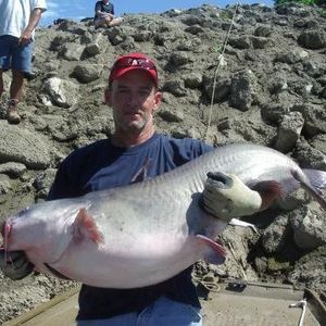 Meet your Posher, Steve